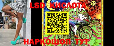 мяу мяу мука Краснознаменск