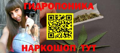 мяу мяу мука Краснознаменск