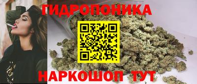 гашик Краснодар