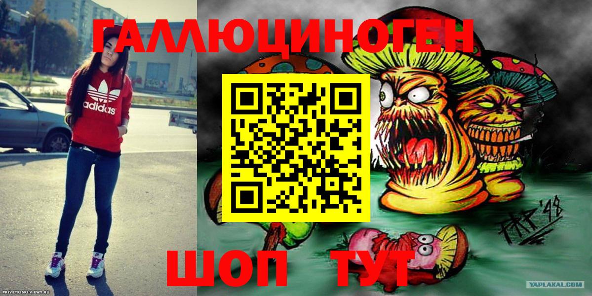 Галлюциногенные грибы Psilocybine cubensis  Вход с VPN  Дубна  Псилоцибиновые грибы прущие грибы 