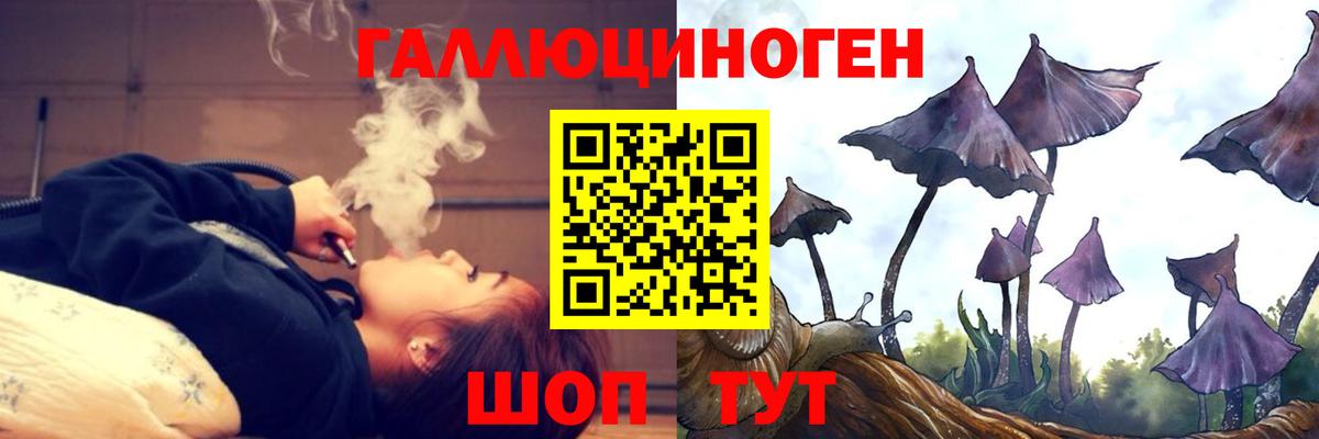 Галлюциногенные грибы Cubensis Дубна